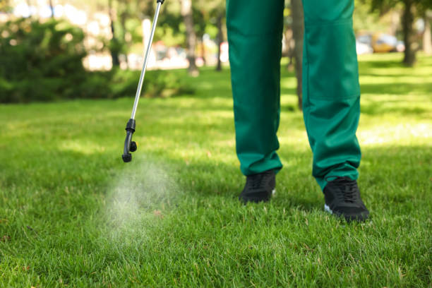 Best Pest Removal Services  in Plano, TX