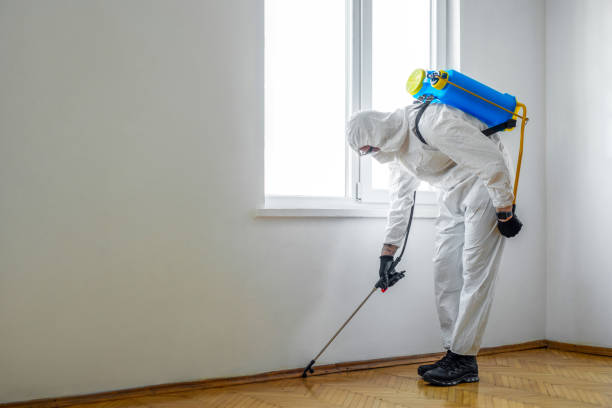 Reliable Plano, TX Pest Control Solutions