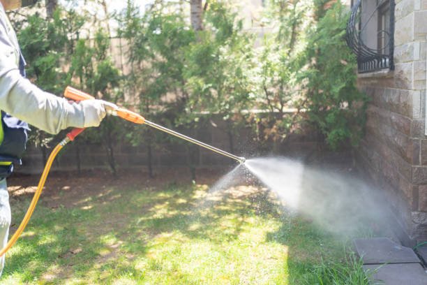 Wildlife Control Services in Plano, TX