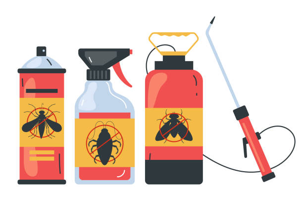 Best Local Pest Control Services  in Plano, TX