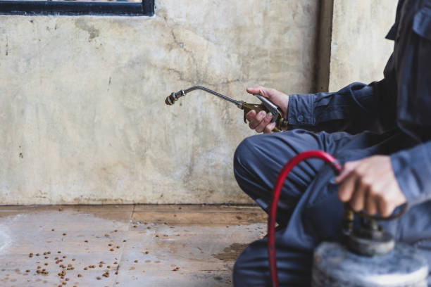 Best Commercial Pest Control Services  in Plano, TX